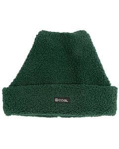 Coal Aurora Beanie- Dark Green