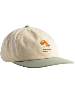 Coal Evergreen Cap- Bone/ Sage