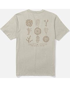 Salty Crew Coral Head Tee Men's- Bone