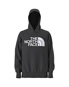 The North Face Tekno Logo Hoodie Men's- TNF Black