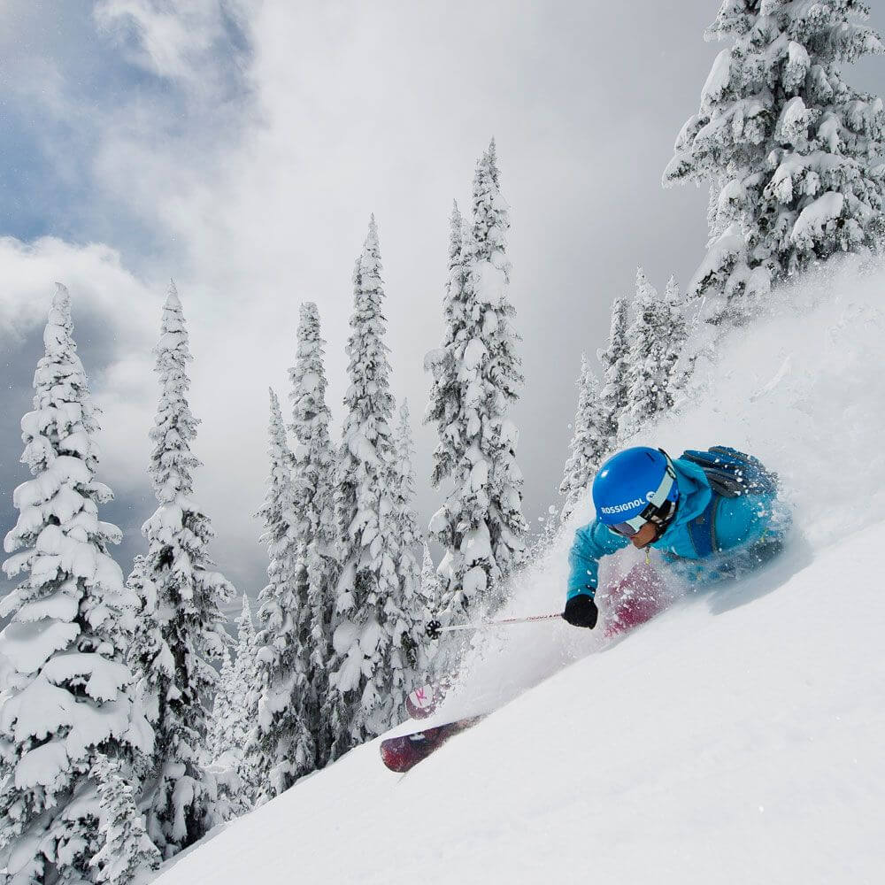 Online Ski Shop Ski Gear Companies Snowboarding Attire Top Online Snowboard Shops The Ski Bum